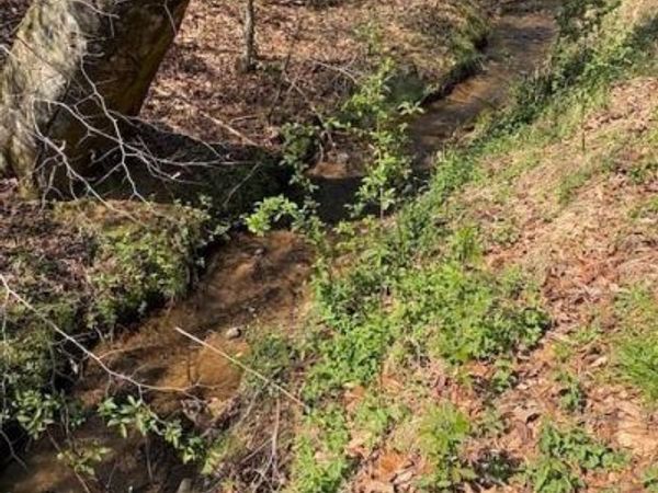 TBD N Marley Ford Road, Ferguson, NC 28624