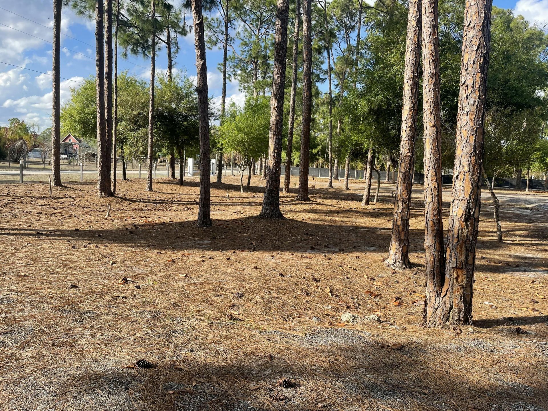 5325 Pioneer 17th Street, Clewiston, FL 33440 Photo