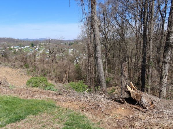 Tbd Clara Drive, Kingsport, TN 37660