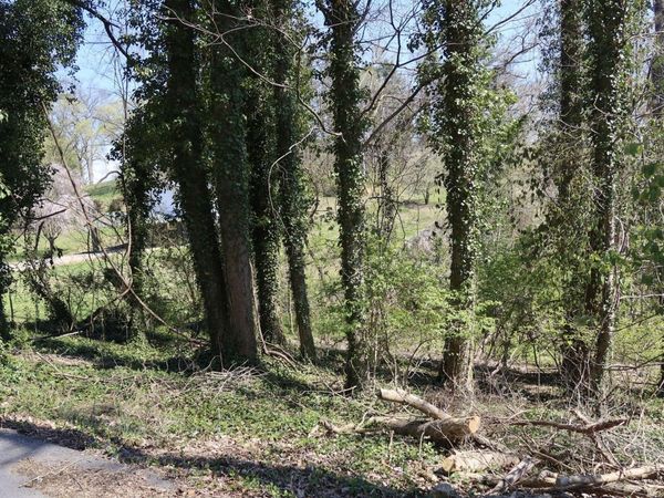 Tbd Crest Road, Kingsport, TN 37664