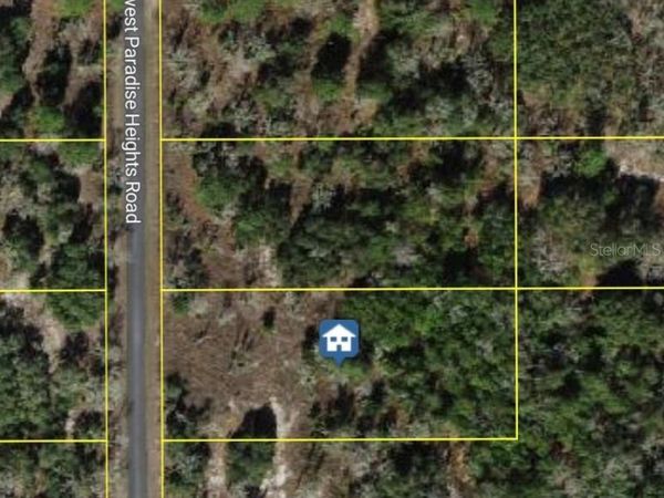000 SW PARADISE HEIGHTS ROAD , DUNNELLON, FL 34431