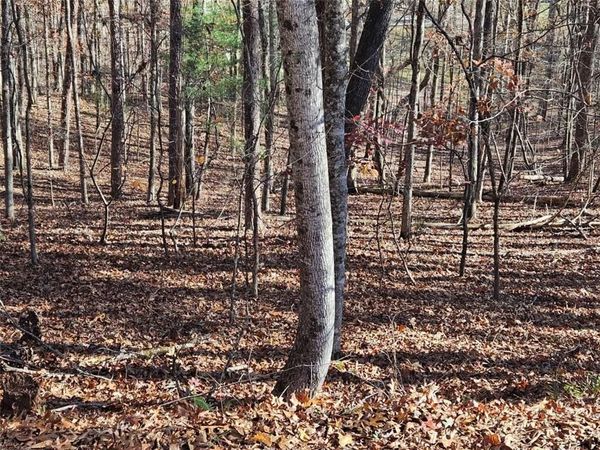 7629 Dogwood Way, Murrayville, GA 30564