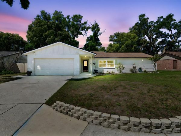 2505 LINDEN TREE STREET , SEFFNER, FL 33584