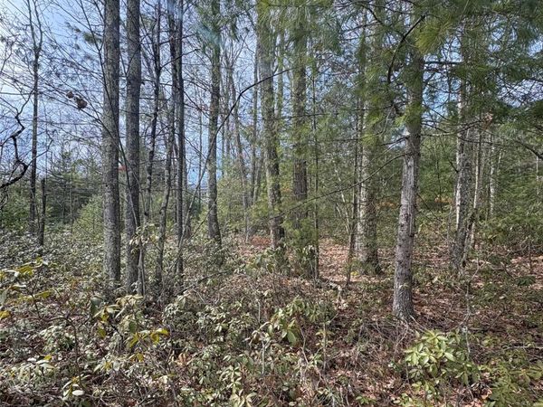 Bennett Road , Napanoch, NY 12458