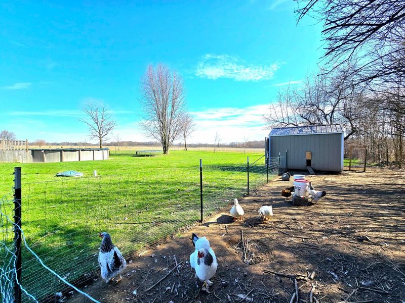 4510 State Route 229, Marengo, OH 43334 Photo 6