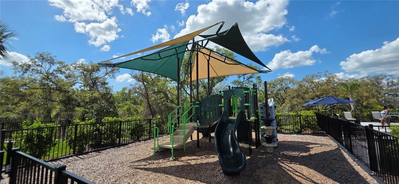 14165 Lilac Sky Terrace, Bradenton, FL 34211 Photo