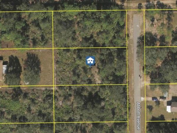 2319 ABBOTT AVENUE , ALVA, FL 33920