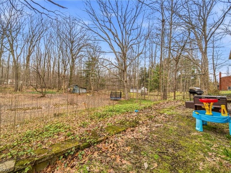 11914 Concord Hambden Road, Painesville, OH 44077 Photo 7