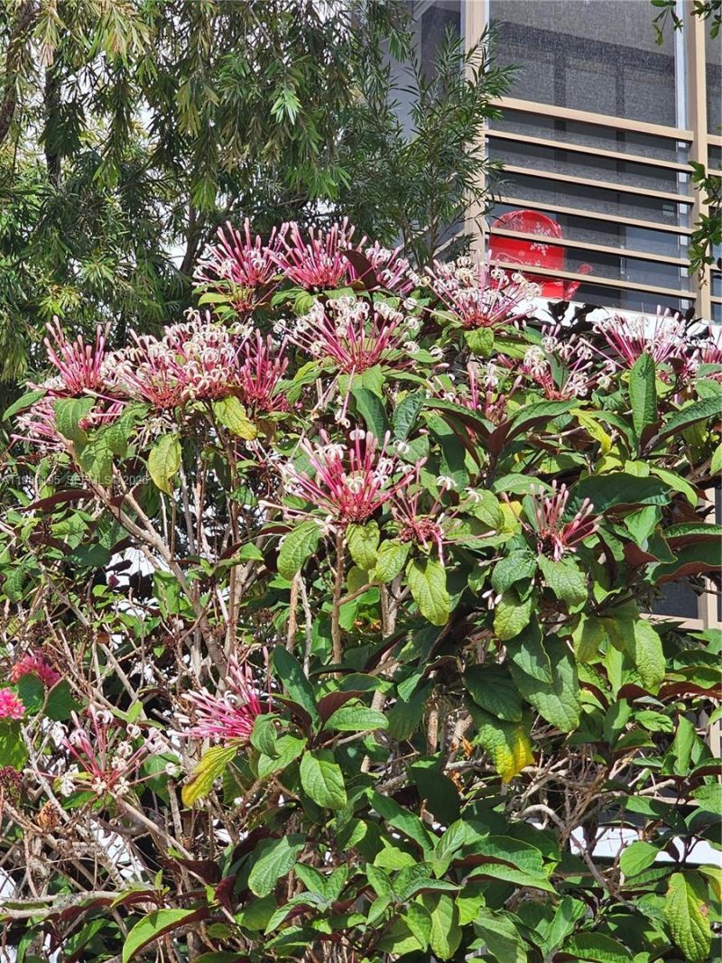 20400 W Country Club Dr , Unit 601, Aventura, FL 33180 Photo