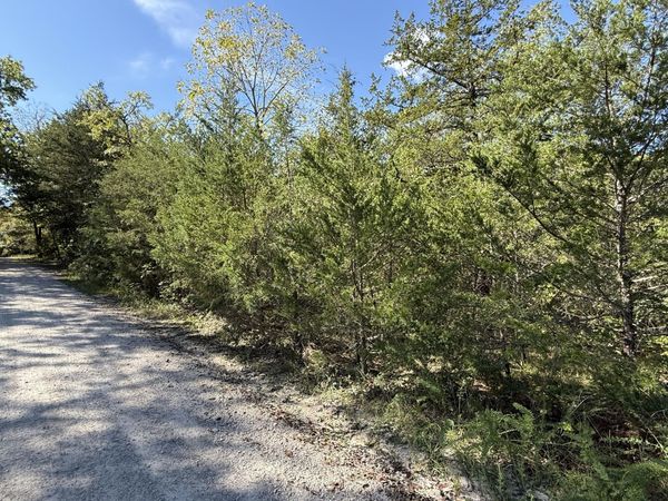 Lot 23 Daisy Lane , Lampe, MO 65681