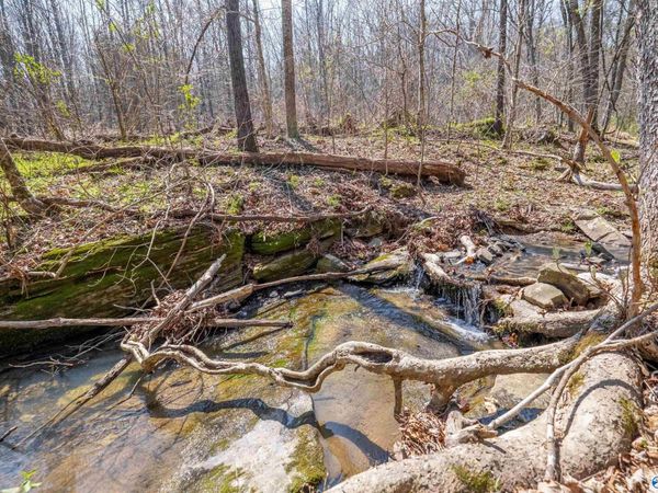 163 Acres Duck Springs Road, Attalla, AL 35954