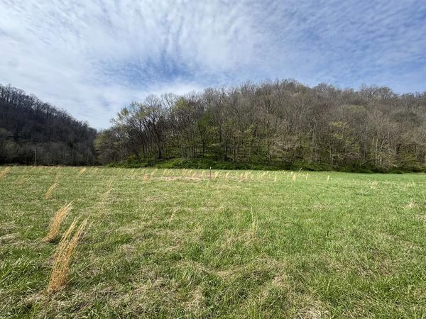 6.34Ac Pine Lick Rd, Whitleyville, TN 38588