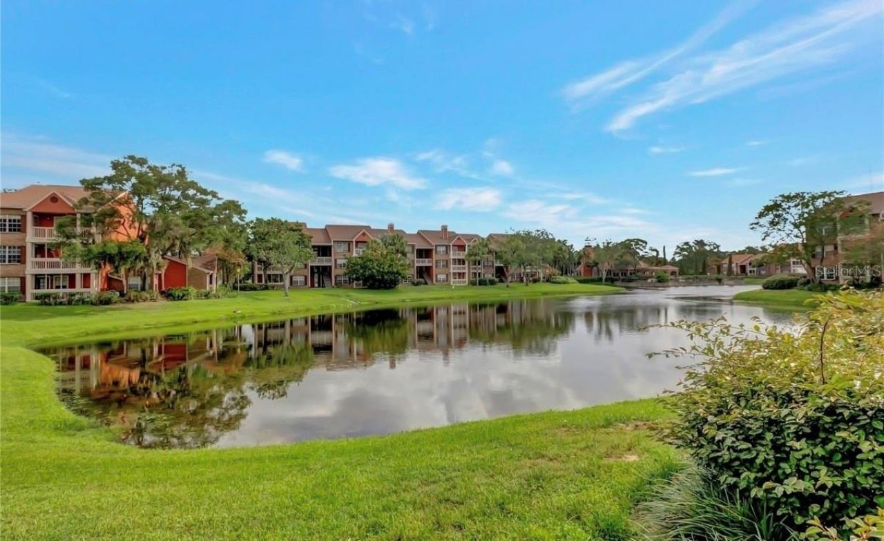 10200 Gandy Boulevard N, Unit 816, Saint Petersburg, FL 33702 Photo