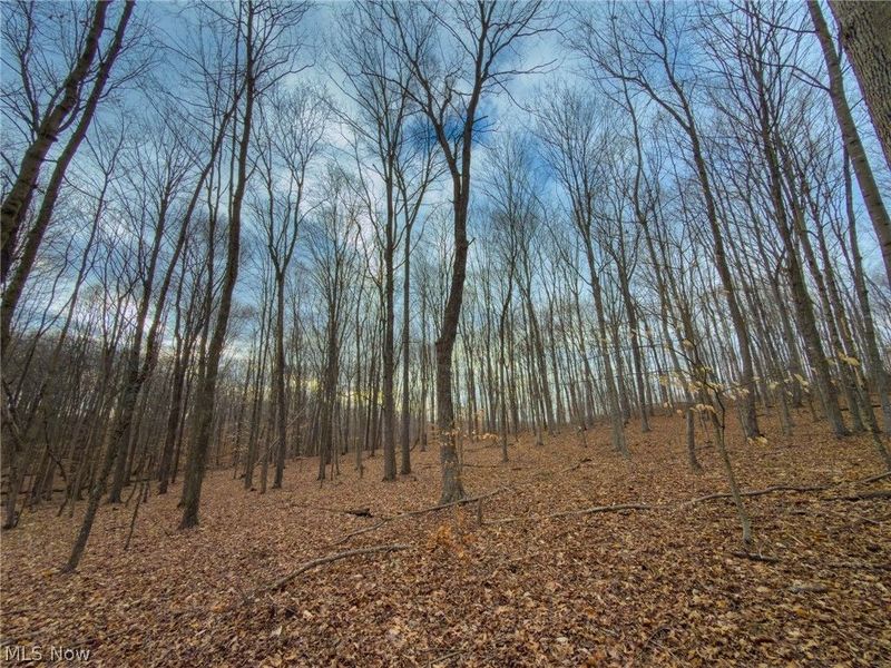 0 Long Fork, Piketon, OH 45661 Photo 12