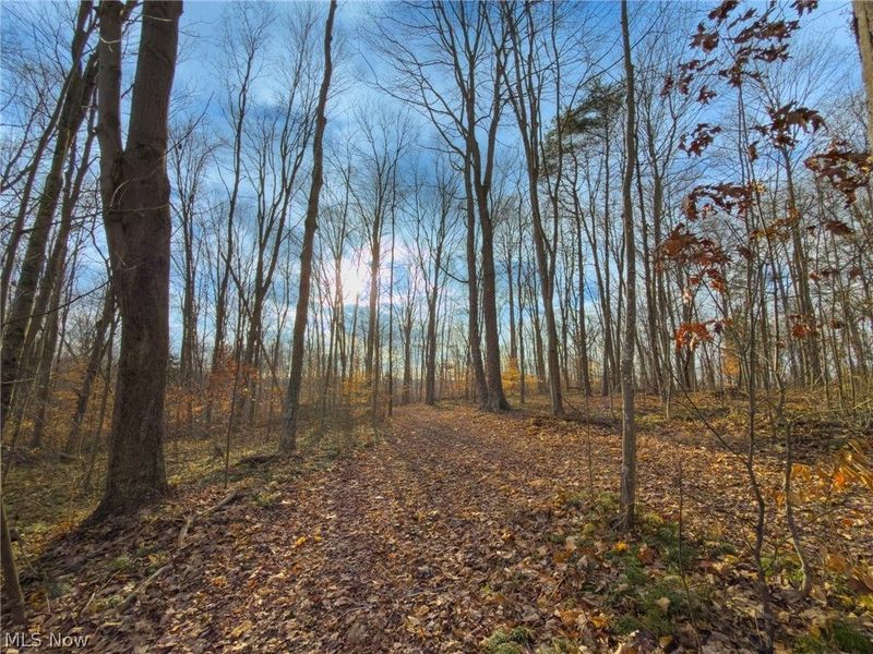 0 Long Fork, Piketon, OH 45661 Photo 13