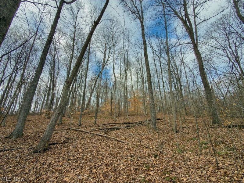 0 Long Fork, Piketon, OH 45661 Photo 14