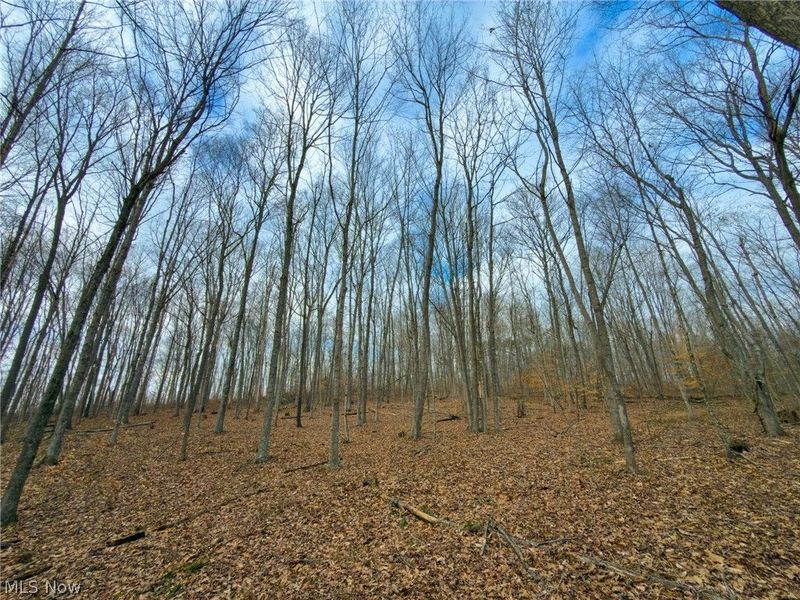 0 Long Fork, Piketon, OH 45661 Photo 16