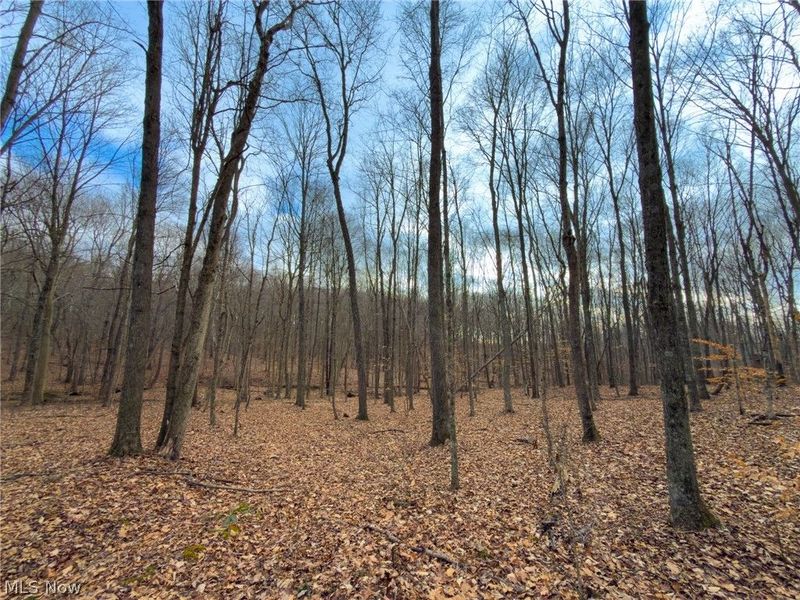 0 Long Fork, Piketon, OH 45661 Photo 18