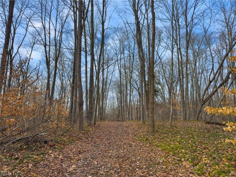 0 Long Fork, Piketon, OH 45661 Photo 19