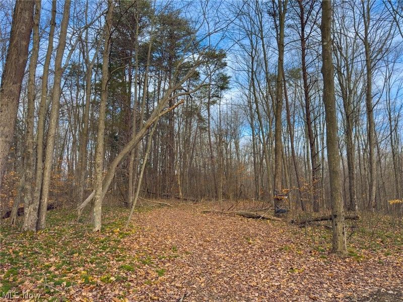 0 Long Fork, Piketon, OH 45661 Photo 21