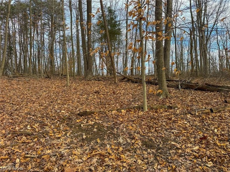 0 Long Fork, Piketon, OH 45661 Photo 22