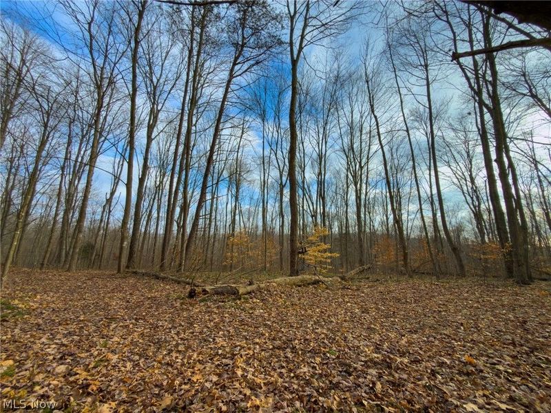 0 Long Fork, Piketon, OH 45661 Photo 24