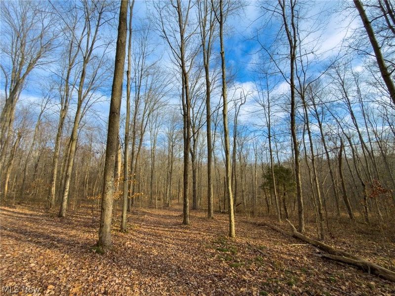 0 Long Fork, Piketon, OH 45661 Photo 25