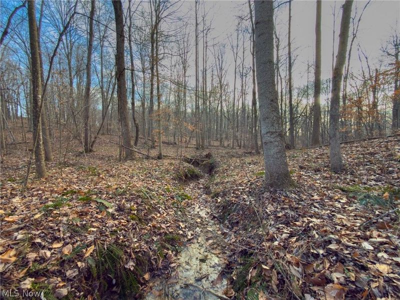 0 Long Fork, Piketon, OH 45661 Photo 26