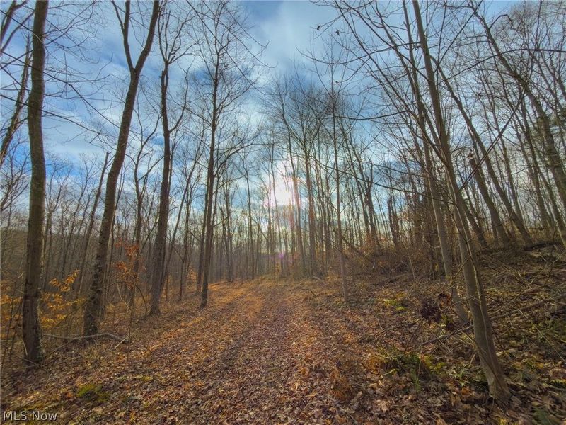 0 Long Fork, Piketon, OH 45661 Photo 27