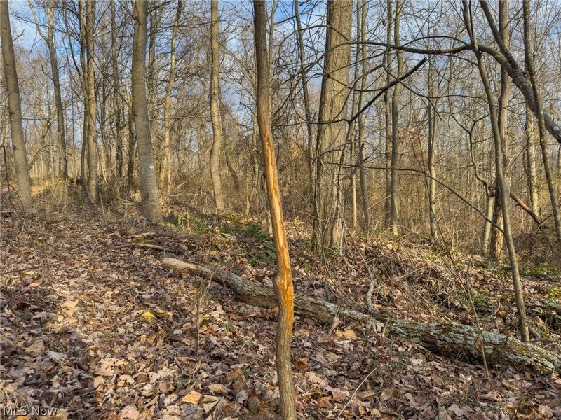 0 Long Fork, Piketon, OH 45661 Photo 28