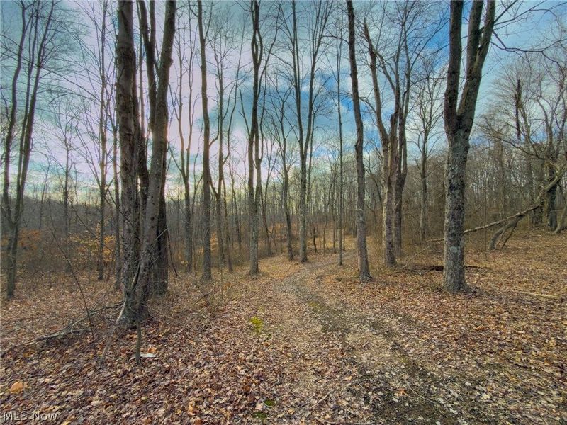 0 Long Fork, Piketon, OH 45661 Photo 29