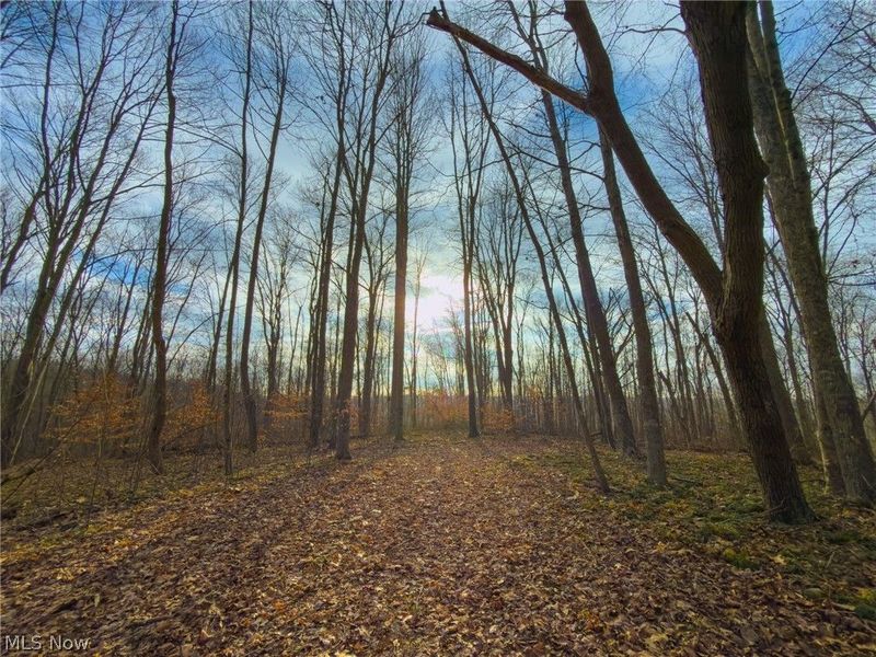 0 Long Fork, Piketon, OH 45661 Photo 3