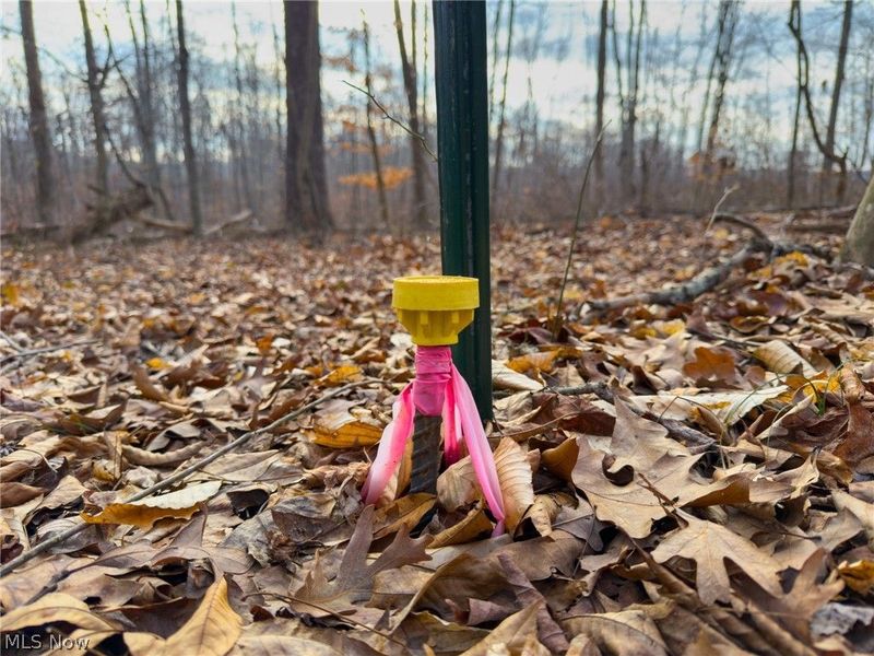 0 Long Fork, Piketon, OH 45661 Photo 32