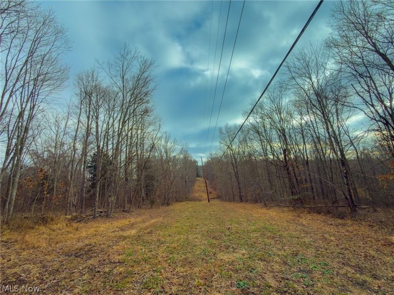 0 Long Fork, Piketon, OH 45661 Photo 5