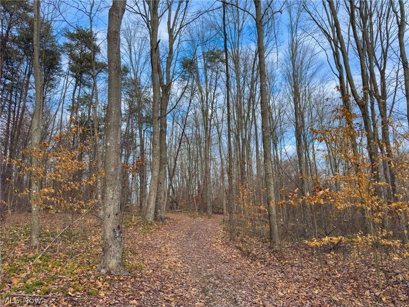 0 Long Fork, Piketon, OH 45661 Photo 7