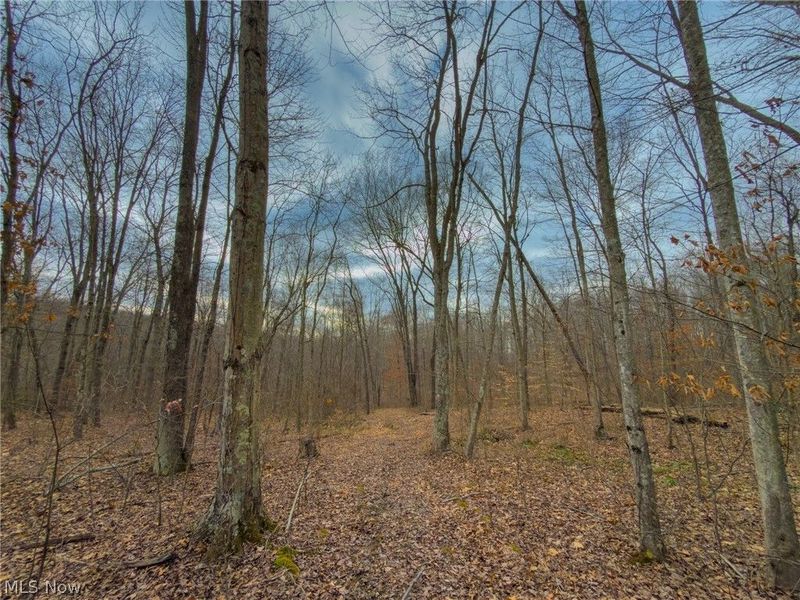 0 Long Fork, Piketon, OH 45661 Photo 8