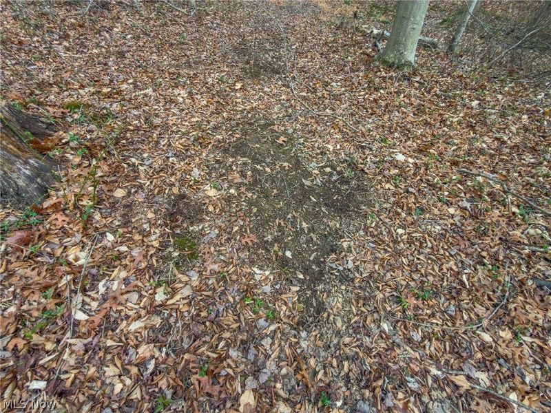 0 Long Fork, Piketon, OH 45661 Photo 9