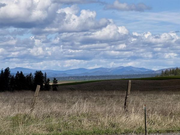 49546 Fisher E Rd, Davenport, WA 99122