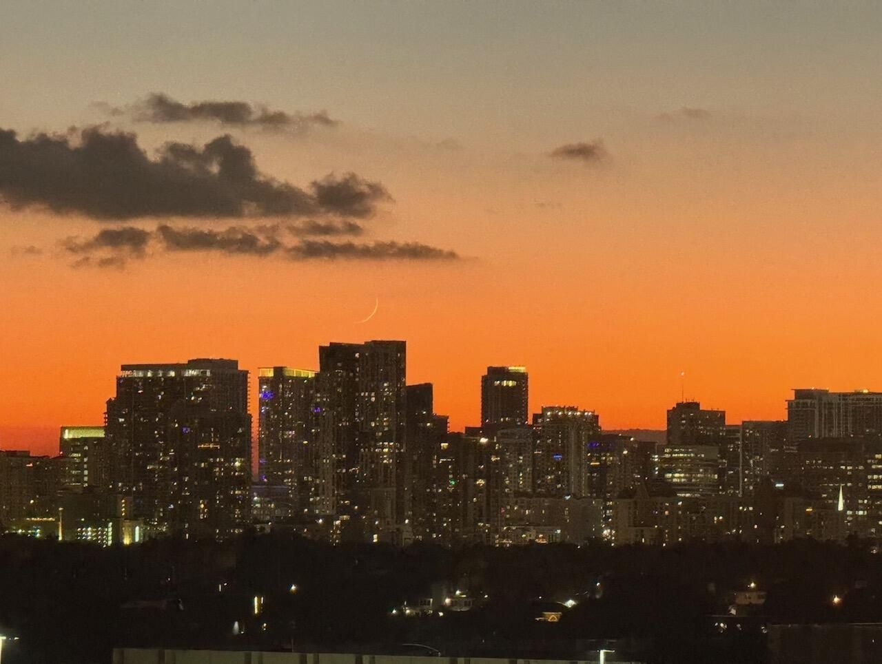 2670 E Sunrise Boulevard, Unit 703, Fort Lauderdale, FL 33304 Photo