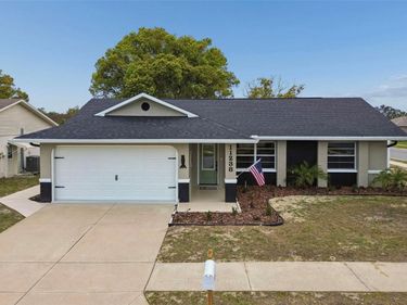 11238 OWL LANE, PORT RICHEY, FL 34668