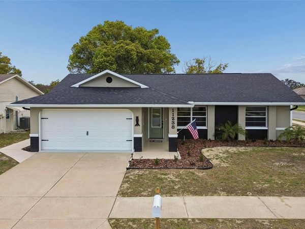 11238 OWL LANE , PORT RICHEY, FL 34668