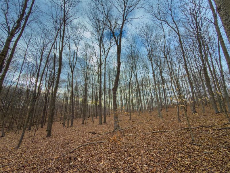 0 Long Fork Road, Piketon, OH 45661 Photo 12