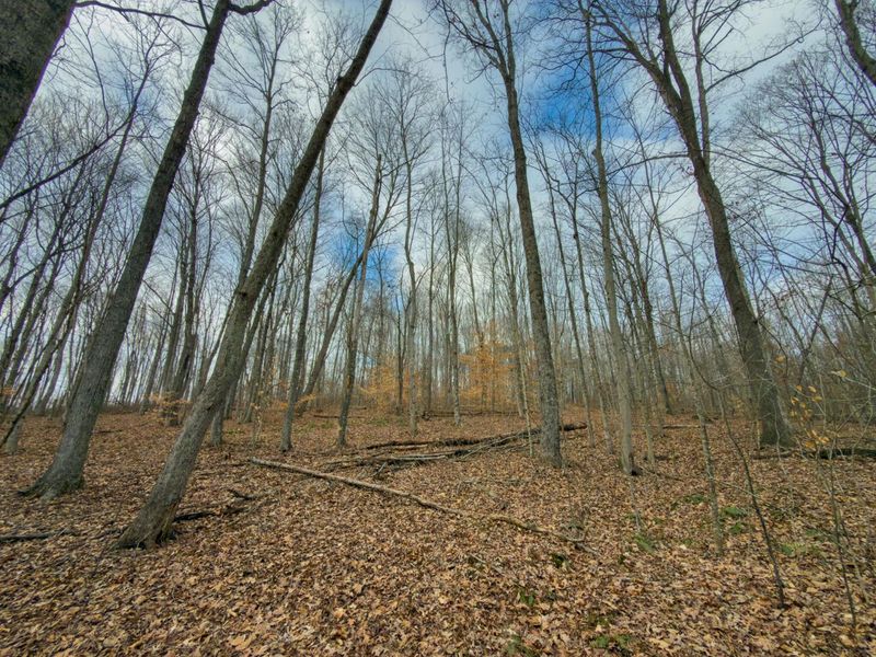 0 Long Fork Road, Piketon, OH 45661 Photo 14