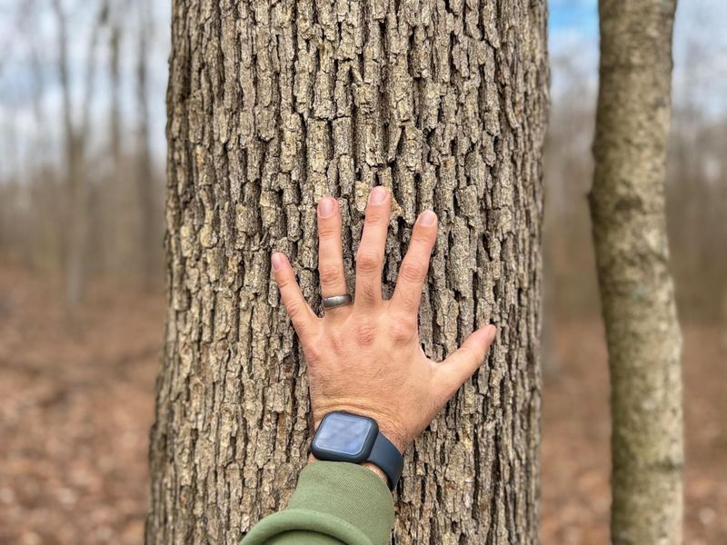 0 Long Fork Road, Piketon, OH 45661 Photo 15