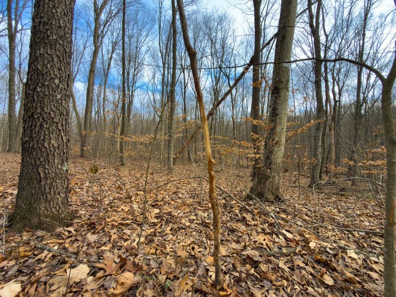 0 Long Fork Road, Piketon, OH 45661 Photo 17