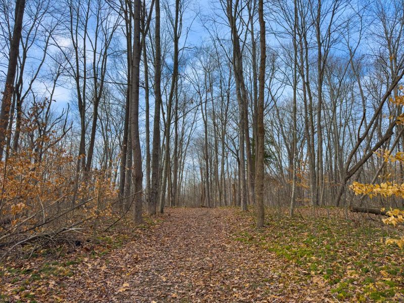 0 Long Fork Road, Piketon, OH 45661 Photo 19