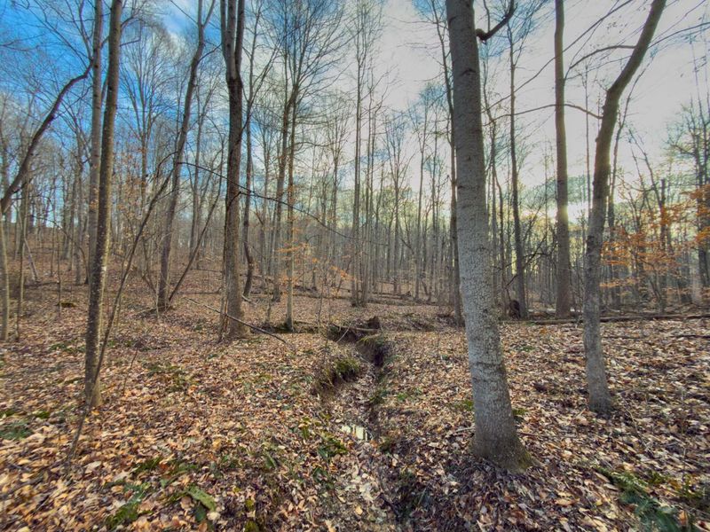 0 Long Fork Road, Piketon, OH 45661 Photo 23