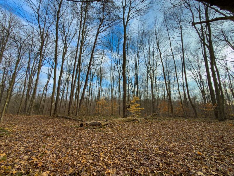 0 Long Fork Road, Piketon, OH 45661 Photo 24