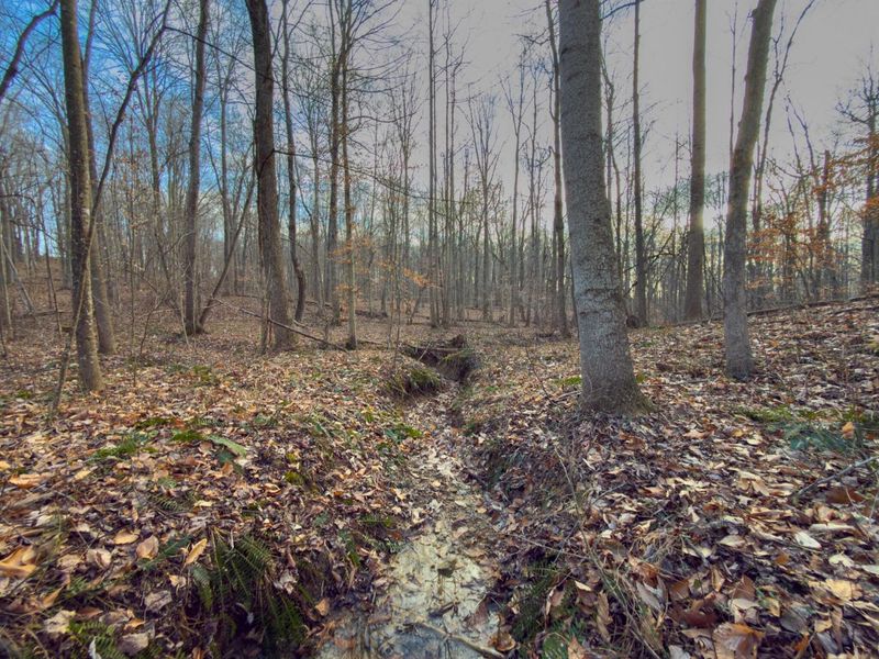 0 Long Fork Road, Piketon, OH 45661 Photo 26