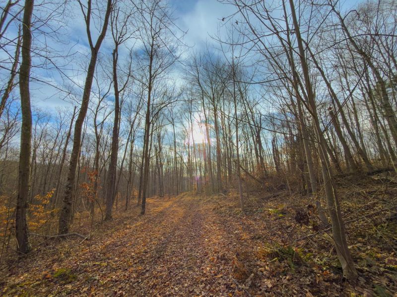 0 Long Fork Road, Piketon, OH 45661 Photo 27